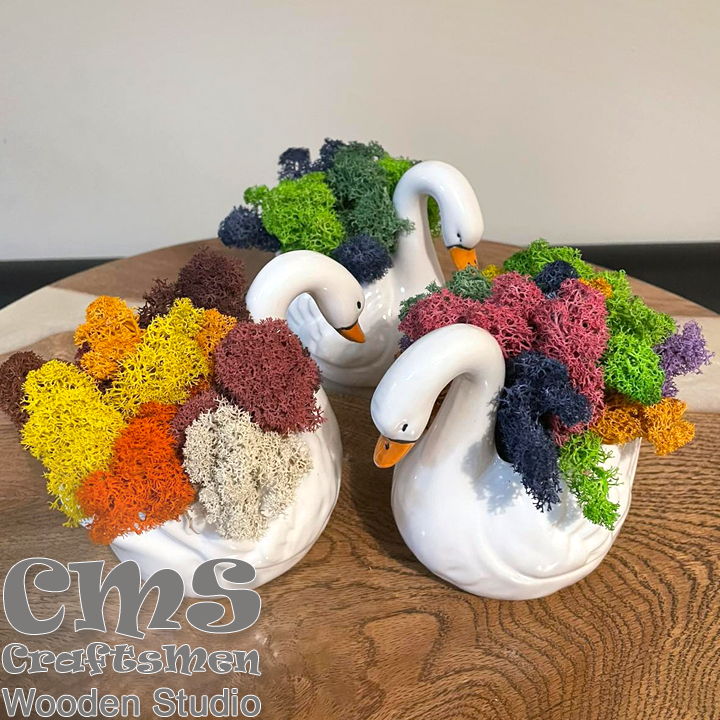 Crafts Men Studio   -     "Colorful"